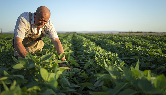 Nouvelle loi visant a protéger la rémunération des agriculteurs