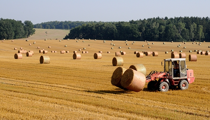 Désamiantage des bâtiments agricoles