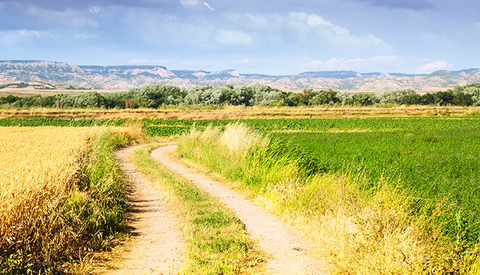 Le régime des chemins d’exploitation lié à la présence d’un bail rural