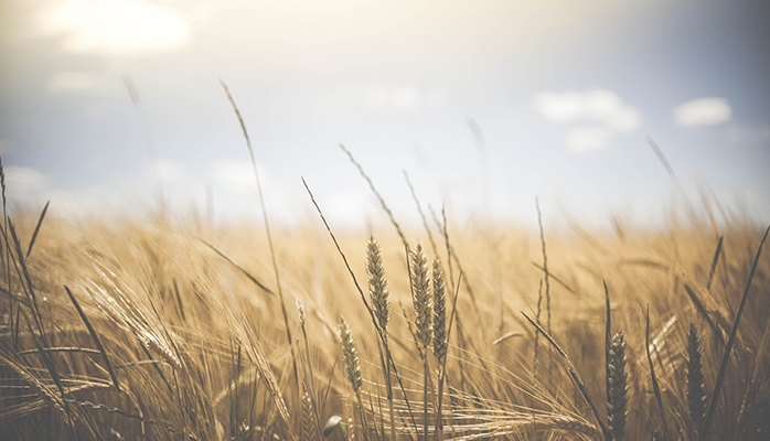 Sortir d’un groupement foncier agricole