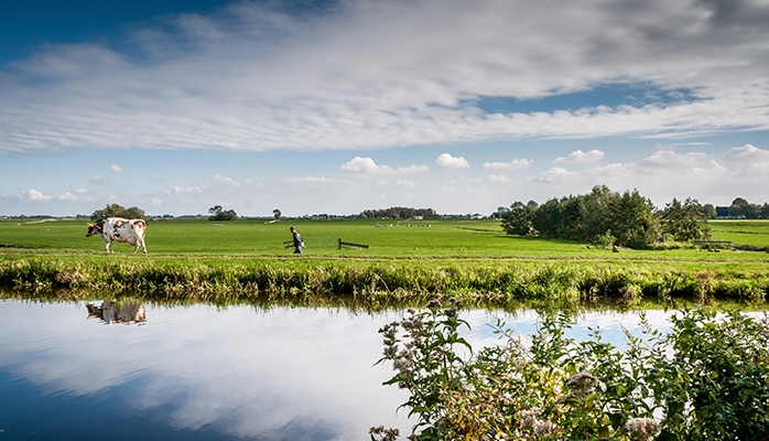 Réserve foncière : concession temporaire de terres agricoles